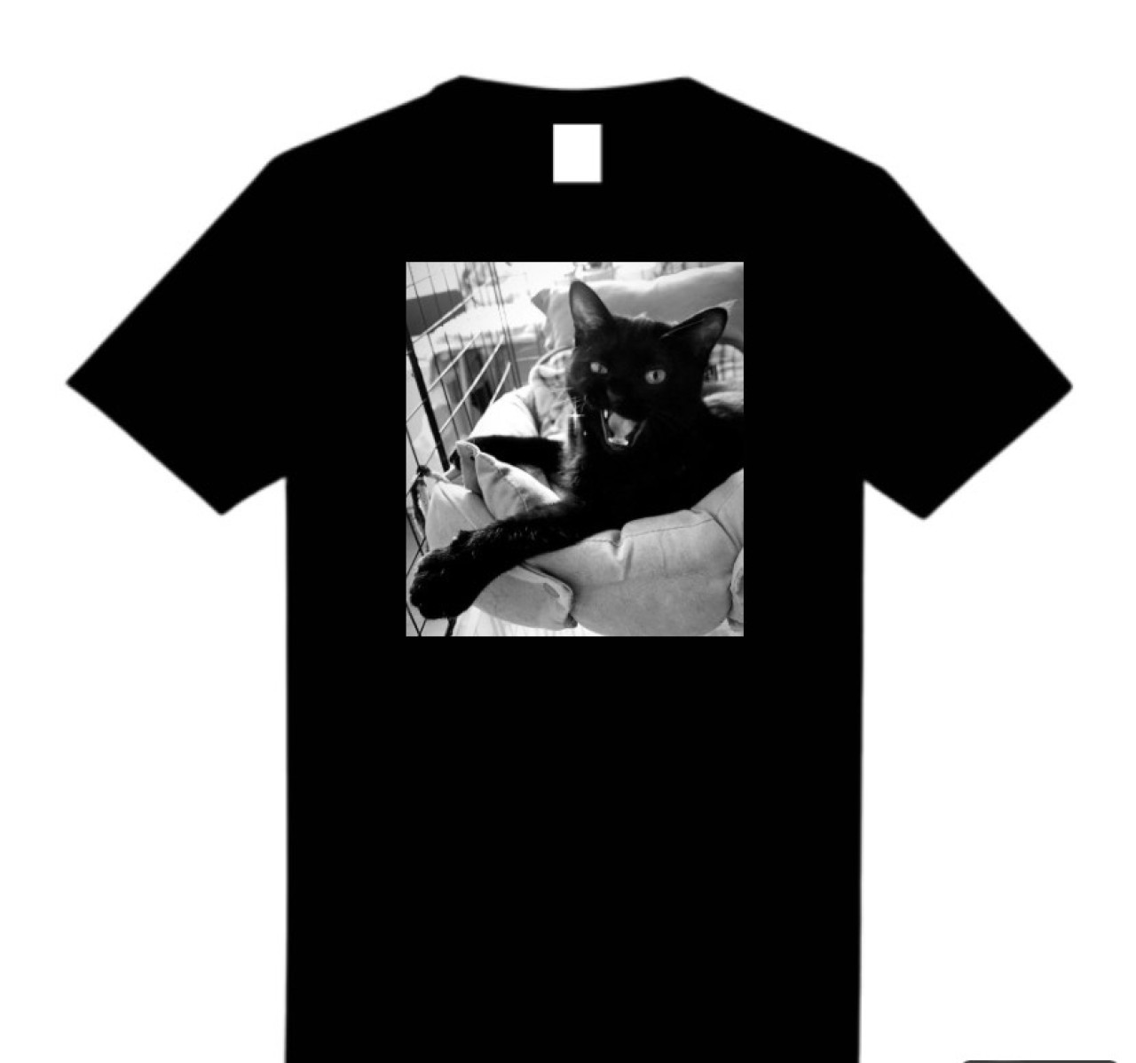 再販！黒猫ドライTシャツ（L） by 猫澤靖｜雑貨百般・本当に売ってる