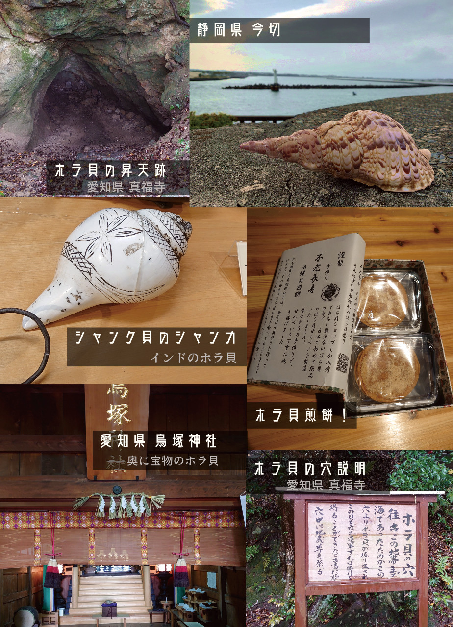 魔法雑貨 【書籍】法螺貝の昇天 by チドリアシ魔法雑貨店｜雑貨百般